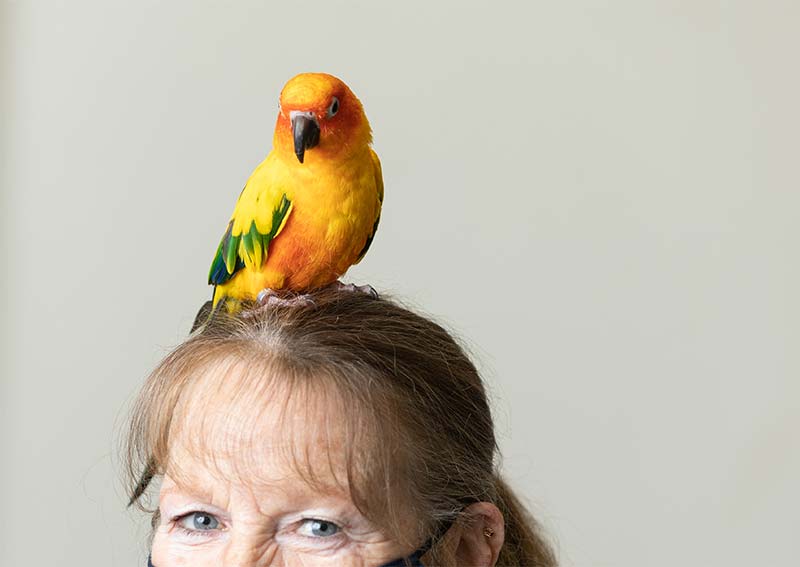 Carousel Slide 7: Bird Veterinary Care, Littleton MA