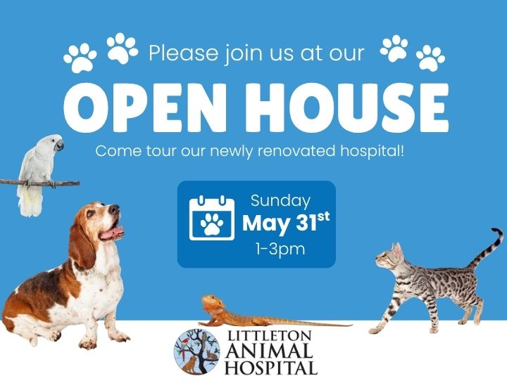 You’re Invited to Littleton Animal Hospital’s Open House!